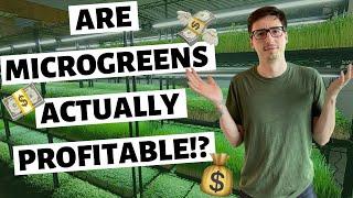 Microgreens Business… Is It ACTUALLY PROFITABLE??