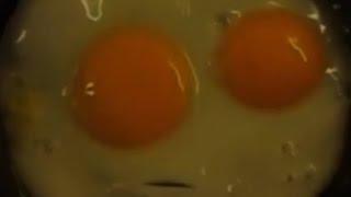 speaking eggs/говорящие яйца