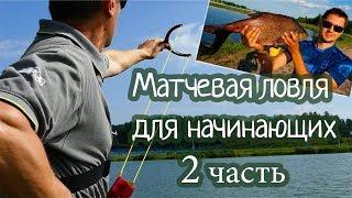 Матчевая ловля для начинающих_2 часть_Техника ловли на матч