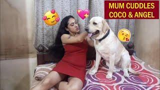 COCO & ANGEL NEEDS LOVE | MUM GIVES LOTS OF CUDDLES | WATCH THE LOVABLE VIDEO TILL THE END | ‍