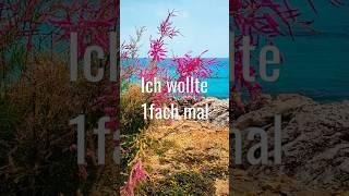 1fach mal so....Alles Liebe#AllesLiebe #Grußvideo #Romance #LetYourLoveFlow