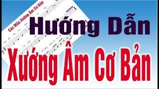  Hướng dẫn xướng âm cơ bản cho Ca Đoàn