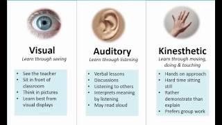 Learning  Styles (Preferences) VAK