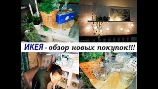 ИКЕЯ - обзор новых покупок!! IKEA в моем доме!!