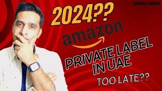 Too Late to Start Amazon Private Label in UAE Dubai 2024?