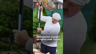 Лукашенко: Есть над чем работать! #shorts #лукашенко #новости #политика #беларусь #президент