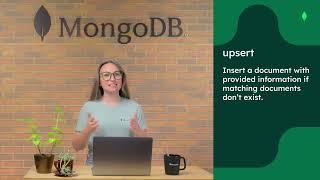 MongoDB Documents by Using updateOne