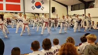 Diala Halloum taekwondo show