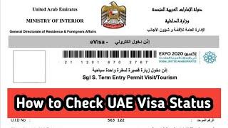 How To Check UAE Visa Status Online | With Passport 2024 | UAE Visit visa Validity Check