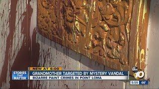 Grandmother targeted by mystery vandal