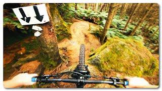 Epic Mountain Bike trails that no one rides! POV in the Rotorua Redwoods