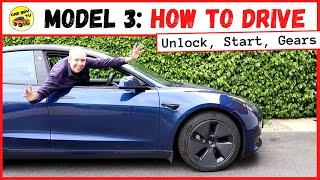 Tesla Model 3 How To Drive: Unlock, Start, Change Gear