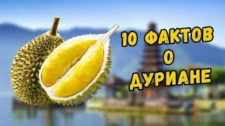 10 Фактов о Дуриане, о которых вы не знали!