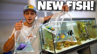 FISH SHOPPING For My SALTWATER AQUARIUM!!