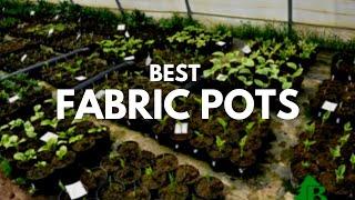 Best Fabric Pots | The Complete Buying Guide For Grow Bags