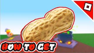 How to get the Peanut Ingredient + Peanut Potion + Peanut  Morph in Roblox Wacky Wizards