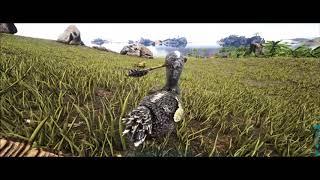 ARK Alpha Dodo Found!