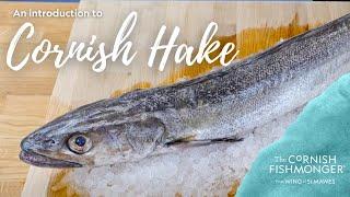 An introduction to Cornish Hake