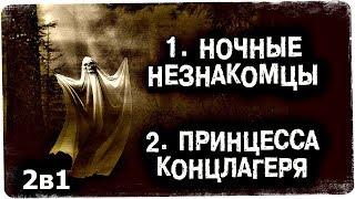 Истории на ночь (2в1): 1.Ночные незнакомцы, 2.Принцесса концлагеря