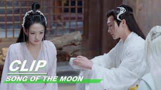 Luo Ge Becomes Sourgrape Hearing Liu Shao Talks about He Na | Song of the Moon EP32 | 月歌行 | iQIYI