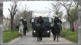 ¿Conoces la Unidad de #Caballería de la Policía Nacional?