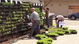 Florafelt Pro System Vertical Garden Installation