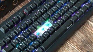 Ducky Shine 5 (Cherry MX RGB Blue switch) Typing Video