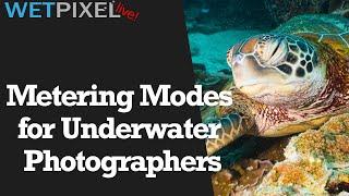 Metering Mode Advice for Underwater Photographers