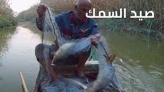 صيد السمك في العراق