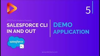 Course Project Overview | SFDX and Salesforce CLI Course