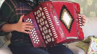 Fever F3112-RD button accordion treble notes