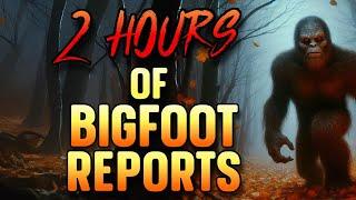 2 HOURS OF BIGFOOT REPORTS