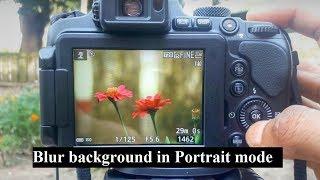 How to blur background in Portrait mode Photography for beginner nikon coolpix B700 P900 Tutorial