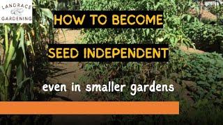 Landrace Gardening in Smaller Gardens