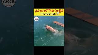 ప్రపంచంలోనే 2 వింతైన INCIDENTS చూడండి | intresting facts in telugu|#shorts #facts #viral #telugu