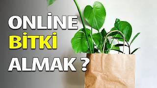 İnternetten Bitki Almanın Püf Noktaları | Online Bitki Alışverişi 🪴