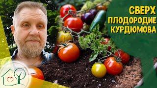 Сверхплодородие и природное плодородие - Николай Курдюмов