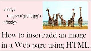 How to insert/add an Image in a Web page by using HTML (with Visual Studio Code Editor).
