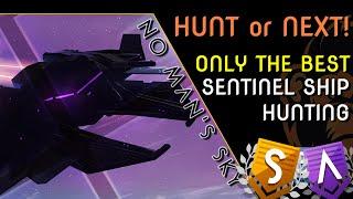 Discovering The Best Sentinel Ships or NEXT! - No Man's Sky