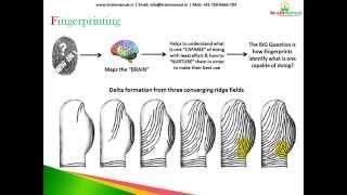 Fingerprint Analysis - DMIT Vs Astrology (Module 1)