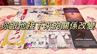 ️ 愛情塔羅占卜｜你跟他接下來的關係改變？不限關係｜Tarot Reading Pick A Card (Timeless) 【Wonderland Tarot】