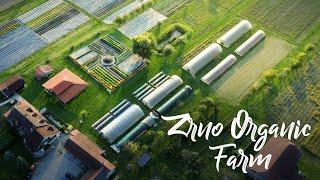 BREATHTAKING Farm Pioneering Organics in Croatia!