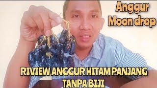 RIVIEW ANGGUR HITAM PANJANG TANPA BIJI || anggur moon drop