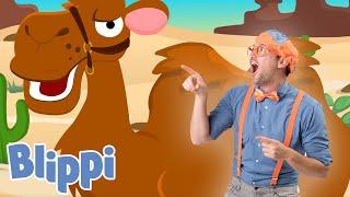 Learn with BLIPPI - Camel Song | Classic Baby Songs | Kids Songs & Nursery Rhymes | Baby Video