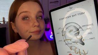 ASMR Piercing Your Ears Role play 