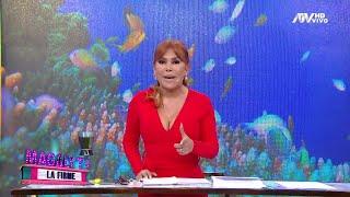 Magaly TV La Firme: Programa del 15 de Mayo de 2024