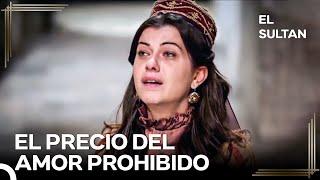 ¡El Pasha Quiere Casar A Nigar Con Otro! | El Sultán