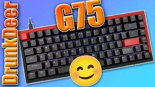 Adjustable Magnetic Gaming & Very Affordable -- DrunkDeer G75 Review