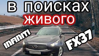 Автоподбор Москва: в поисках живого Infiniti FX37