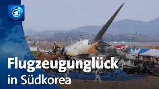 Offenbar nur zwei Überlebende nach Flugzeugunglück in Südkorea